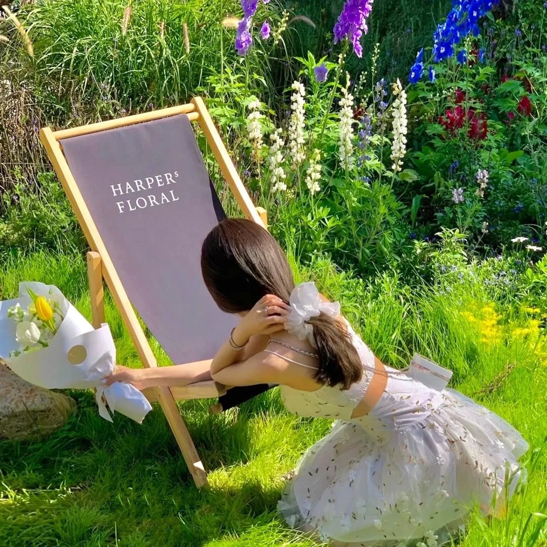 BBC地平线.为何疯狂