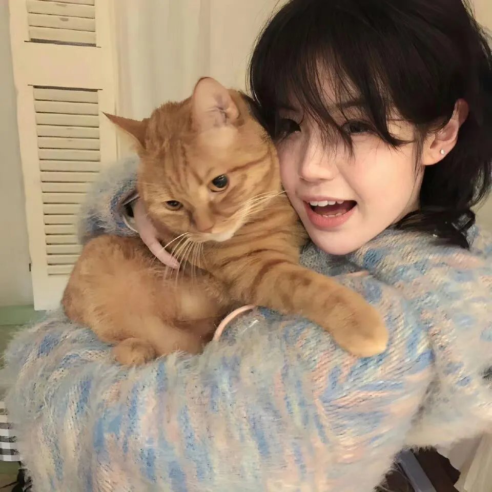 万里高空梦与你